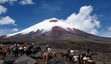 Ecuador-Highlands Riding Tours-Volcano Avenue and Cotopaxi Ride